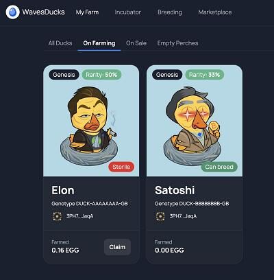 Утиная ферма с NFT токенами Wavesducks - регистрация, заработок и отзывы