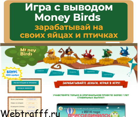 money birds игра