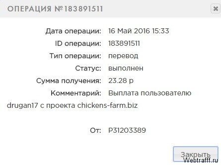 Обзор игры Chickens Farm